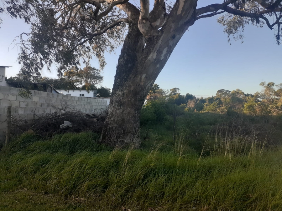 0 Bedroom Property for Sale in Greenbushes Eastern Cape